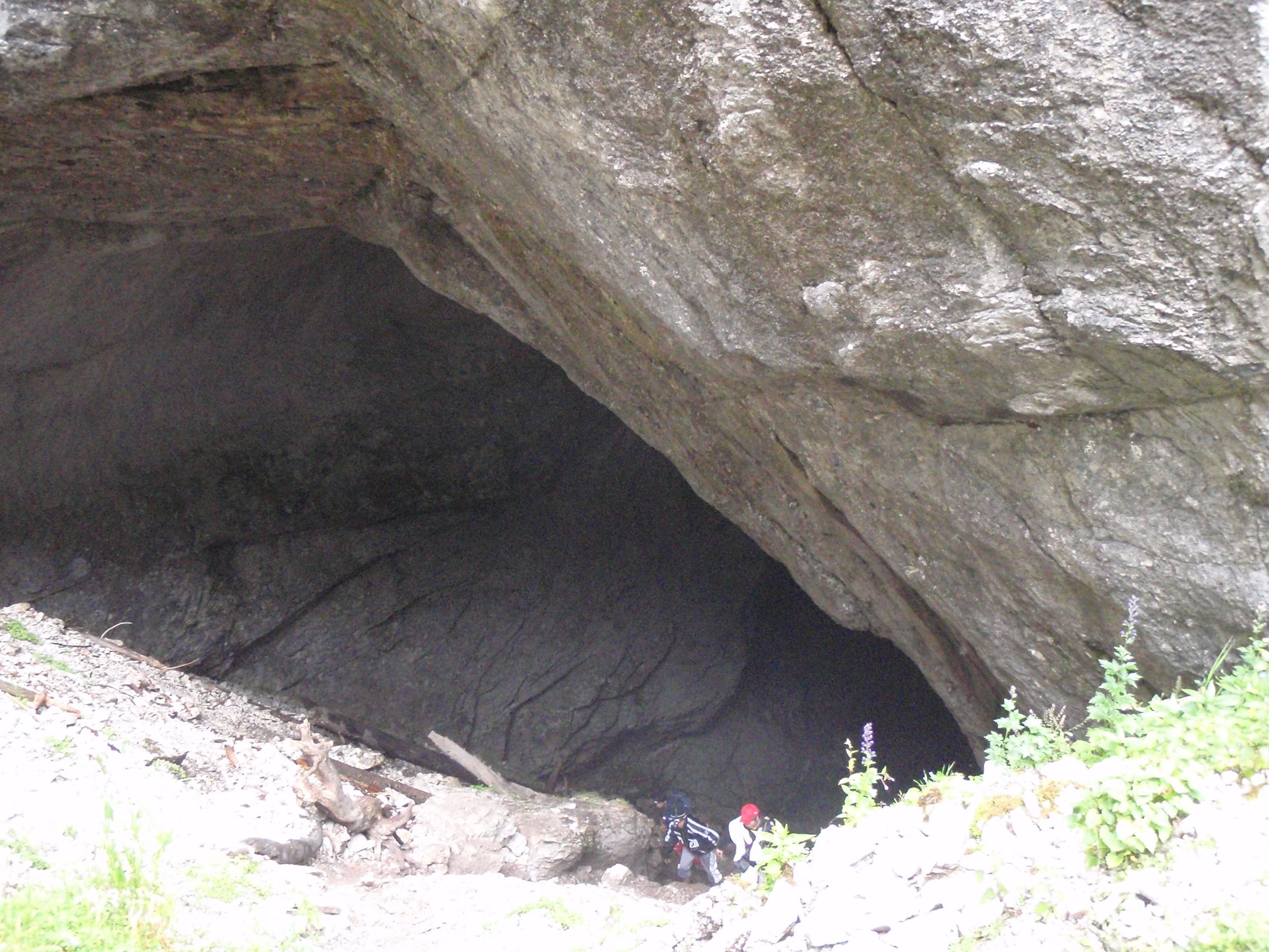 P8100080_1.jpg